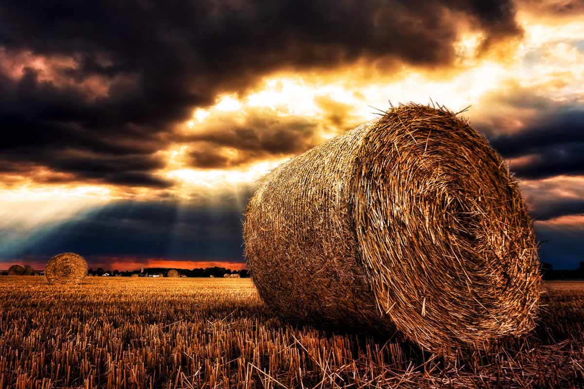 Werbeideen für Herbst und Erntezeit Werbeideen für Herbst und Erntezeit