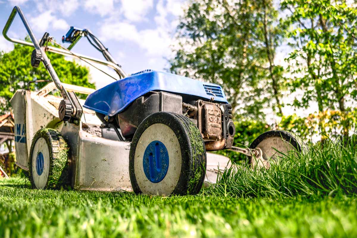 Symbolbild Rasenmäher für Frühbucheraktionen im Februar